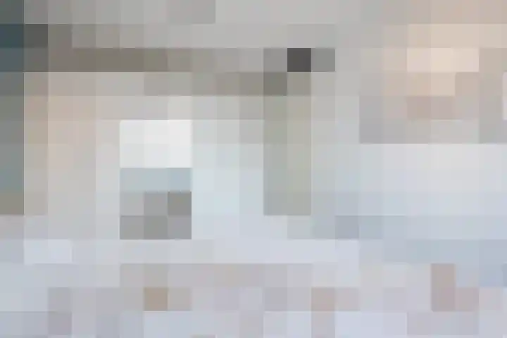 Boerkamp 3 Laren thumbnail 19