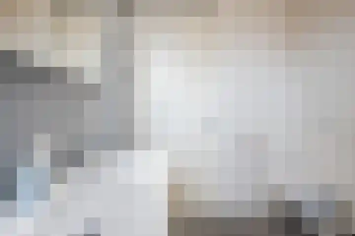 Boerkamp 3 Laren thumbnail 26