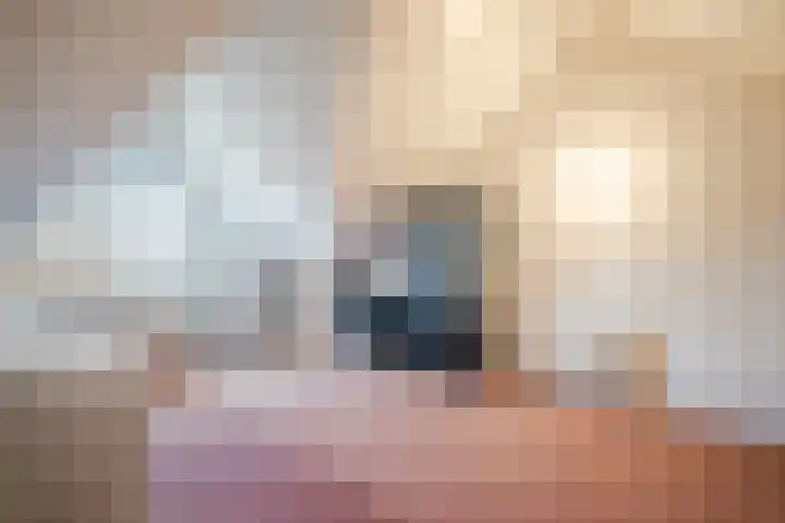 Boerkamp 3 Laren thumbnail 30