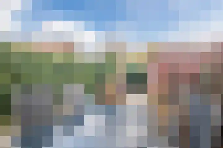 Boerkamp 3 Laren thumbnail 34