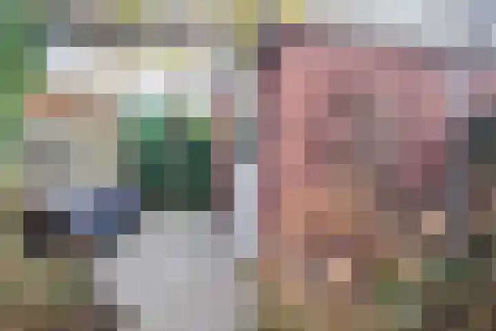 Boerkamp 3 Laren thumbnail 36