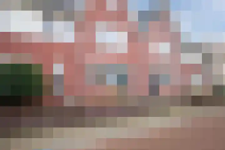 Boerkamp 3 Laren thumbnail 39
