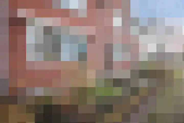 Boerkamp 3 Laren thumbnail 40