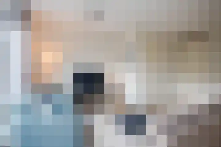 Boerkamp 3 Laren thumbnail 7