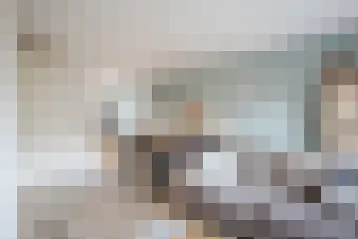 Boerkamp 3 Laren thumbnail 8