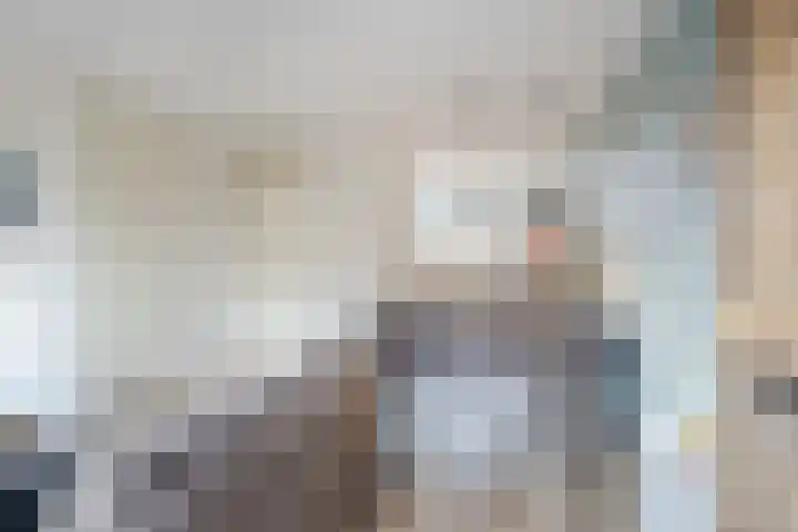 Boerkamp 3 Laren thumbnail 9