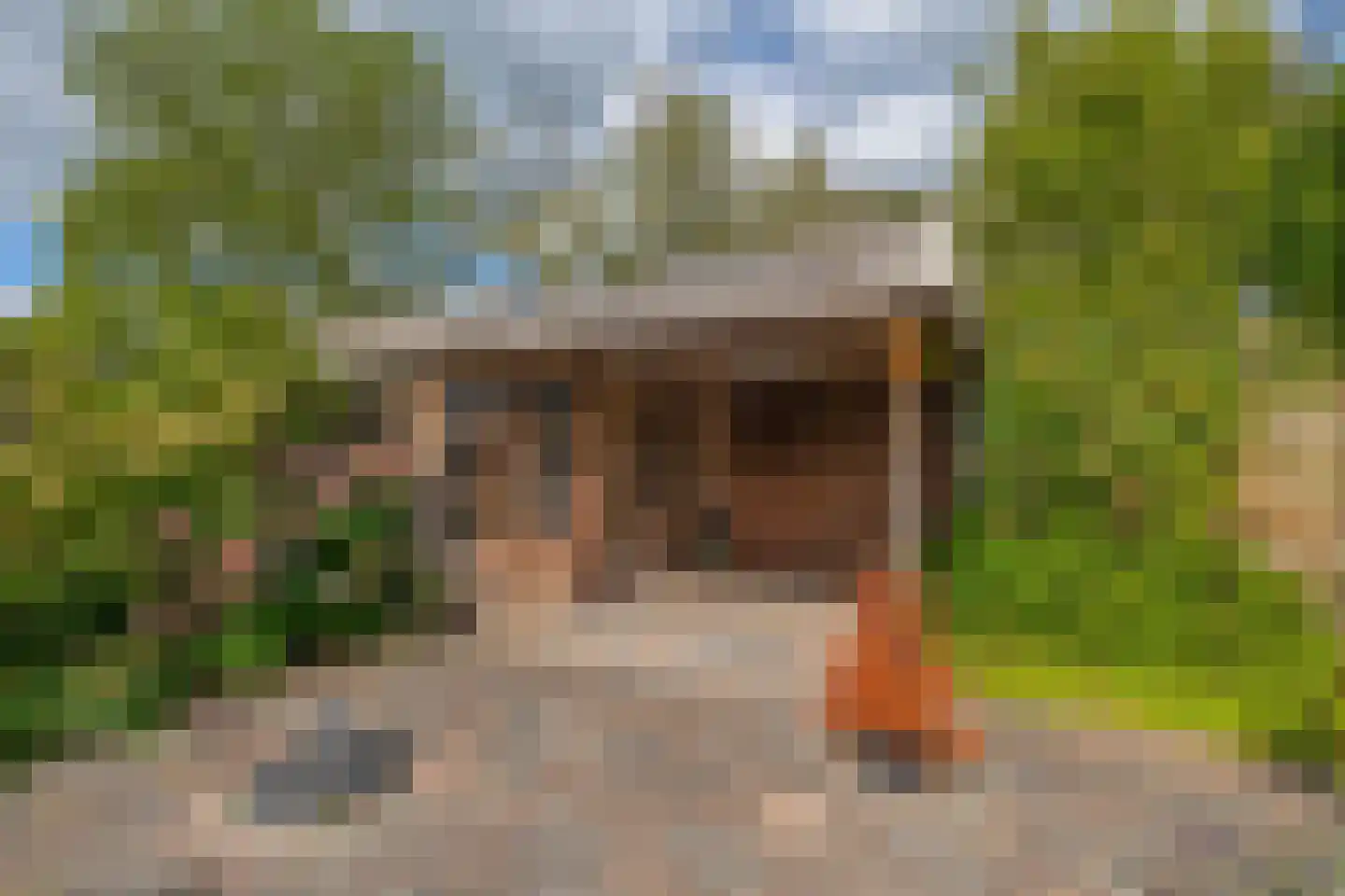 Boerkamp 32 Westerbork thumbnail 23