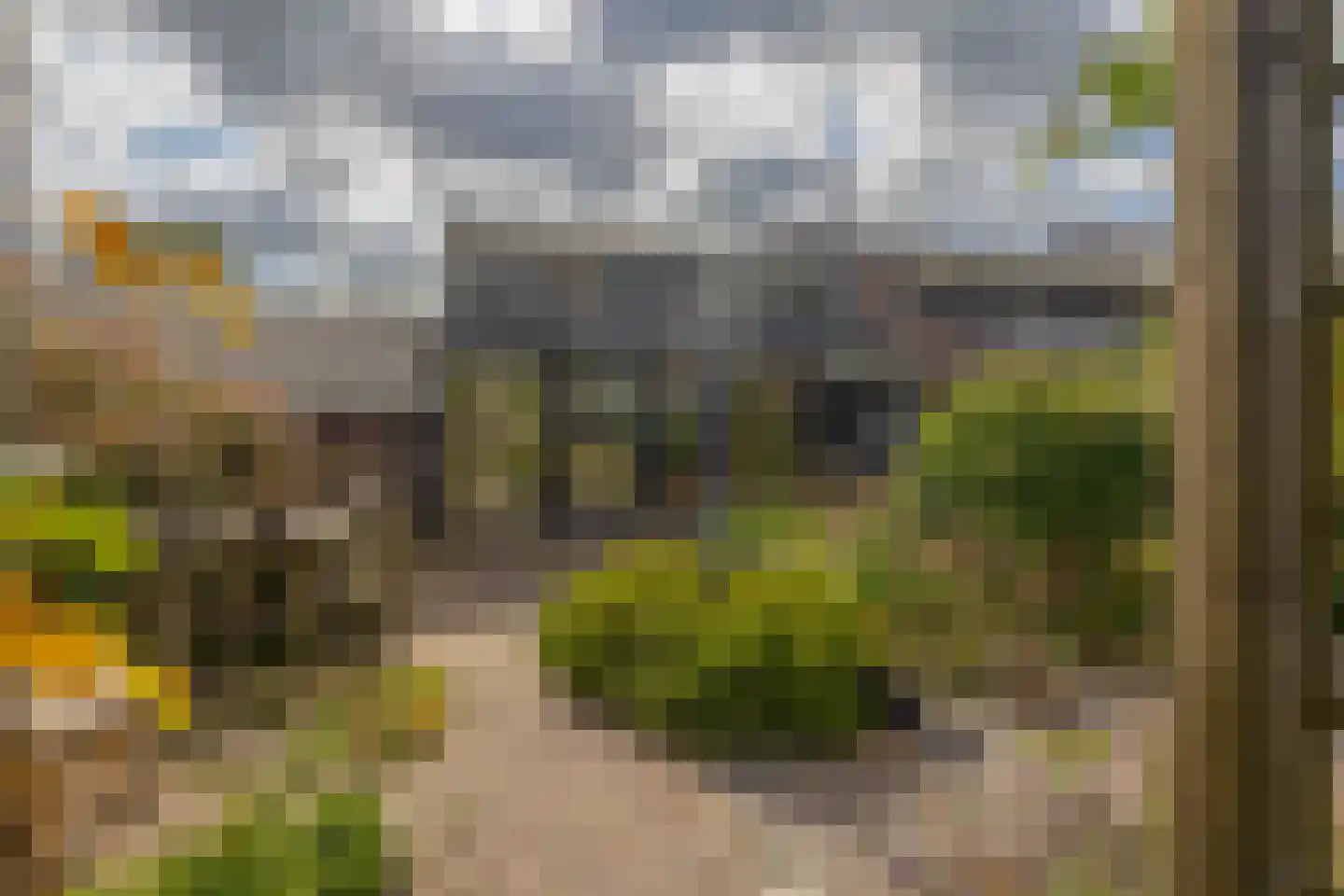 Boerkamp 32 Westerbork thumbnail 24