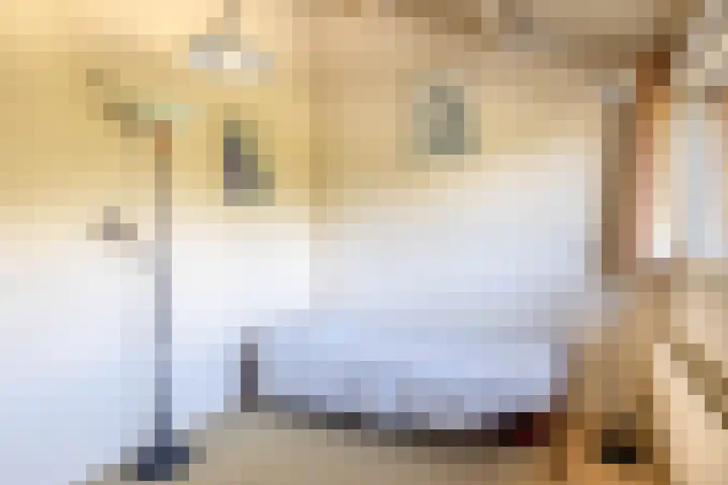 Boerkamp 32 Westerbork thumbnail 34