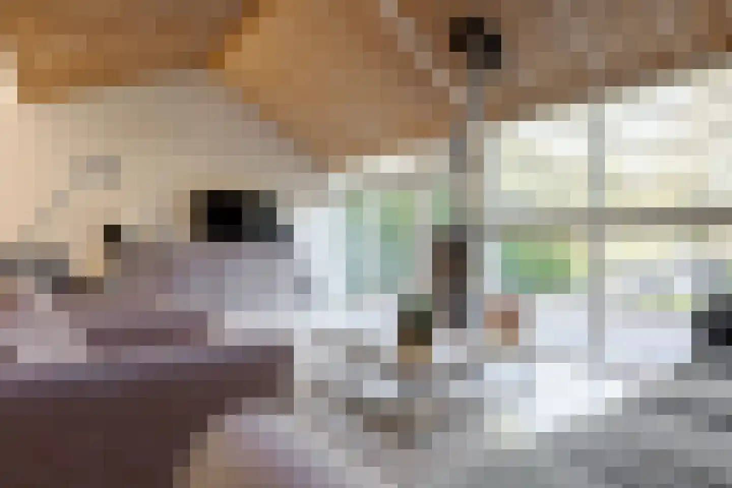 Boerkamp 52 Westerbork thumbnail 13
