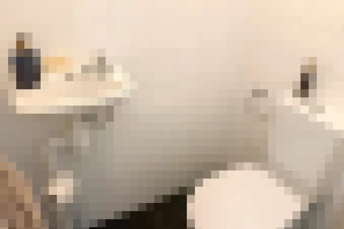 Boerlagelaan 1 Uithoorn thumbnail 14