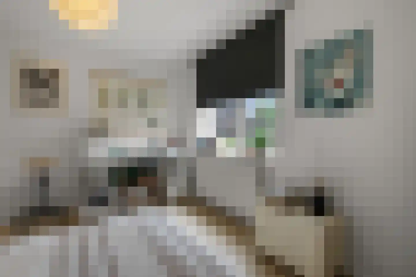 Boerlagelaan 1 Uithoorn thumbnail 19