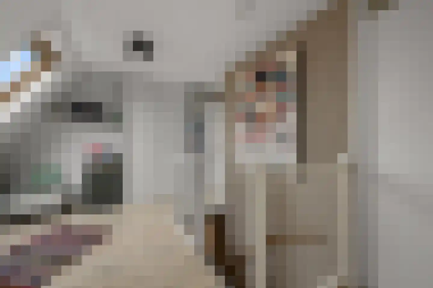 Boerlagelaan 1 Uithoorn thumbnail 25