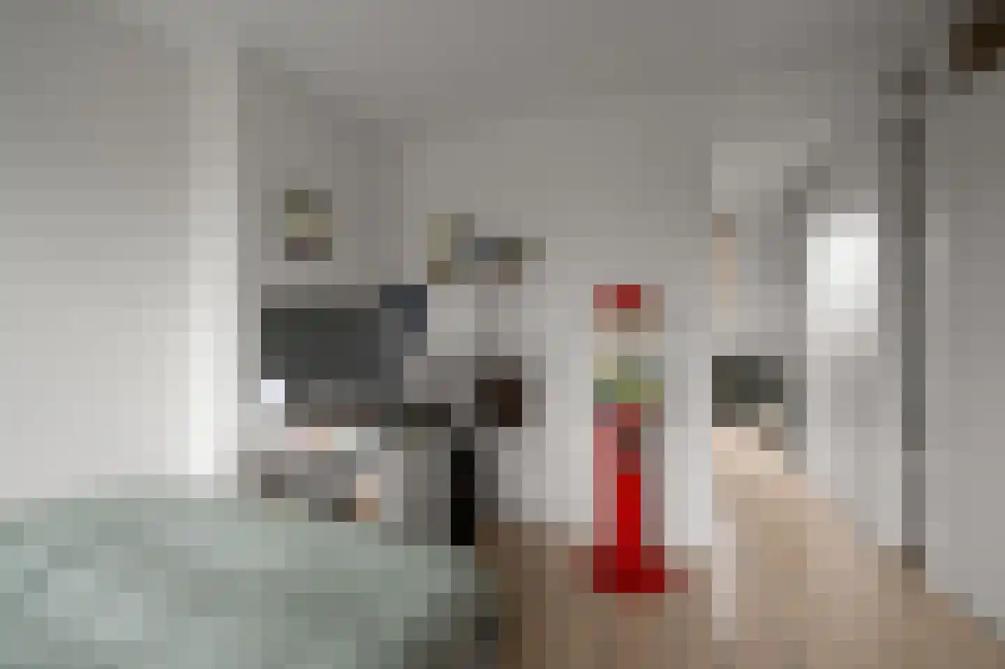 Boerlagelaan 1 Uithoorn thumbnail 32