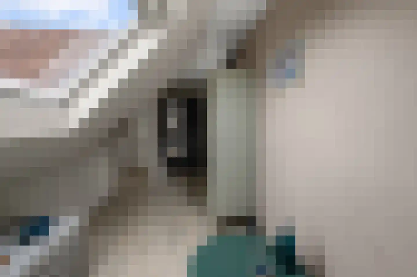 Boerlagelaan 1 Uithoorn thumbnail 34