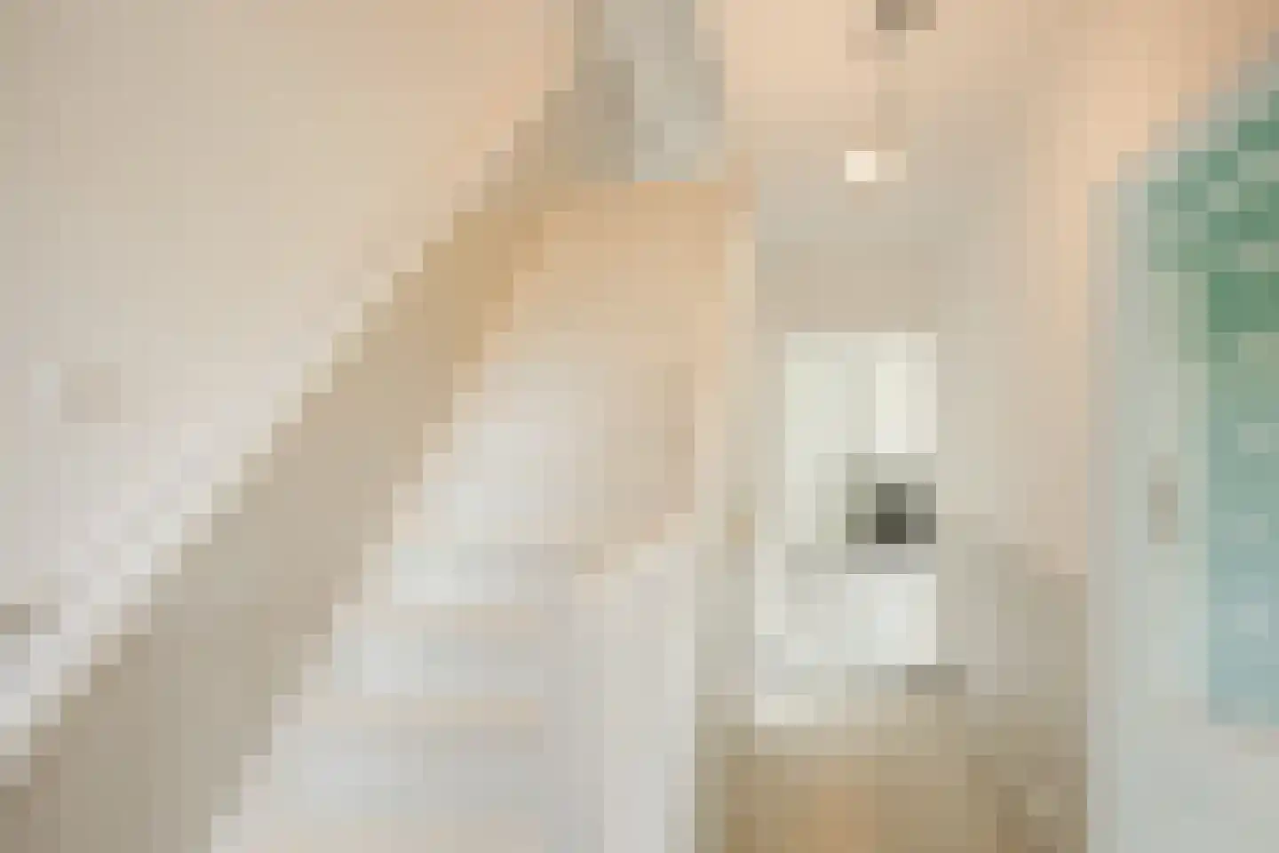Boerlestraat 15 Wijhe thumbnail 18