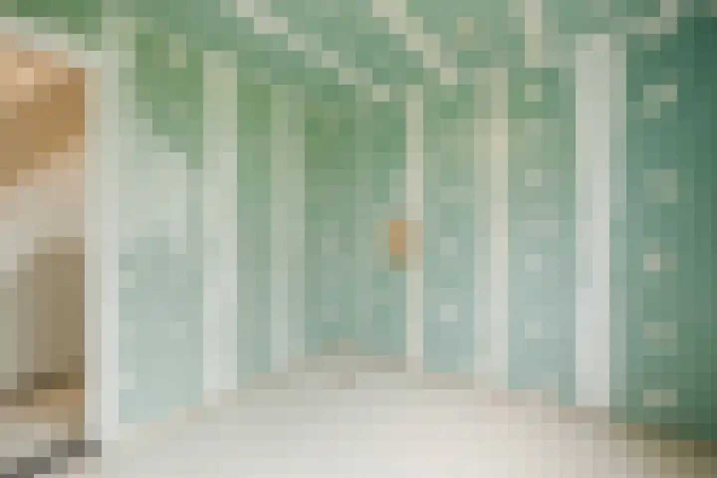 Boerlestraat 15 Wijhe thumbnail 20