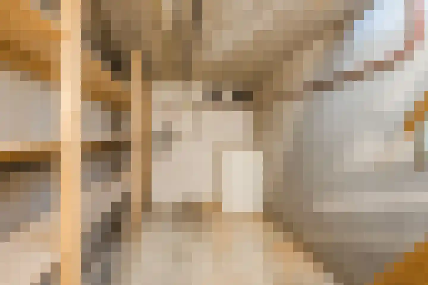 Boerlestraat 15 Wijhe thumbnail 24