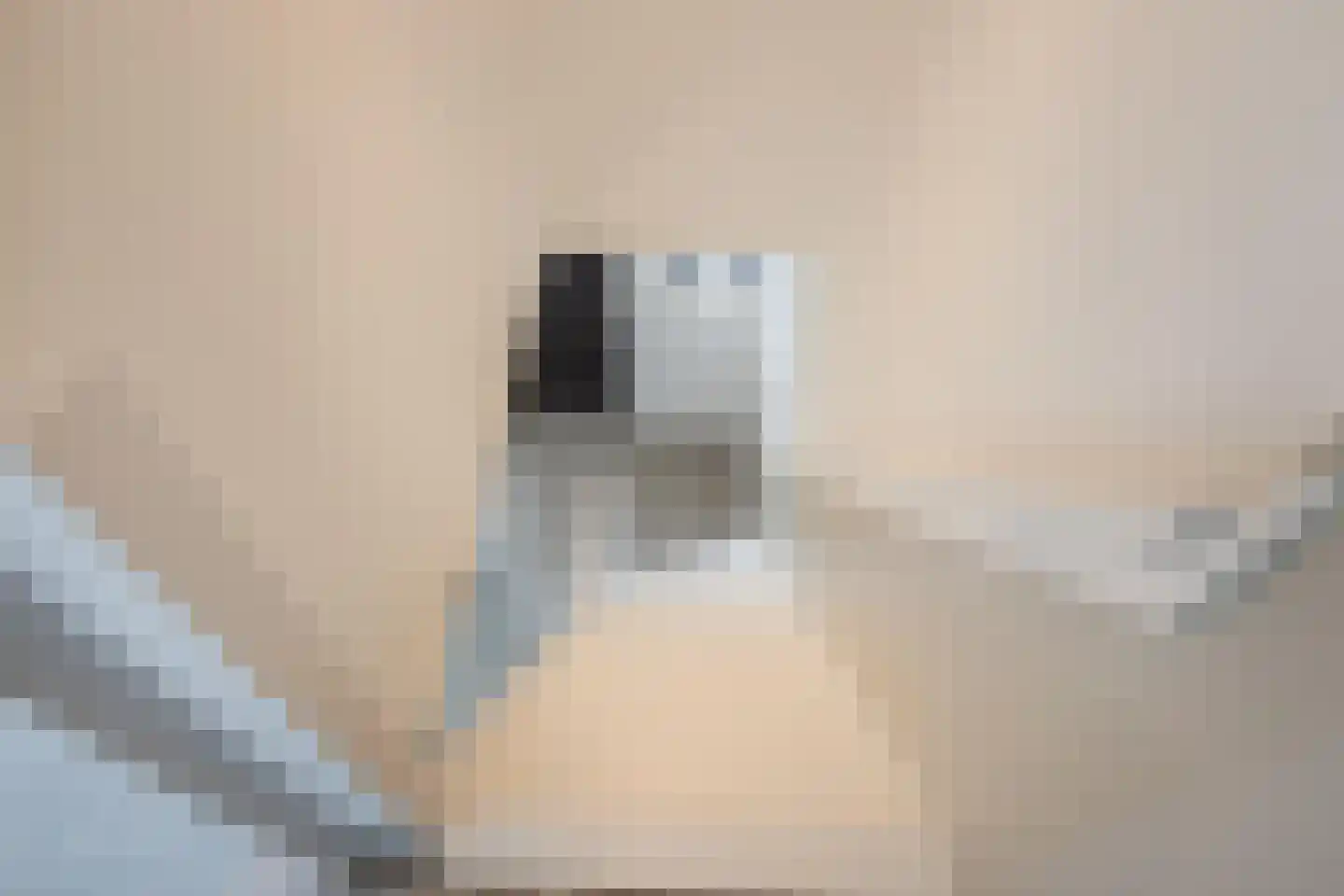 Boerlestraat 15 Wijhe thumbnail 26