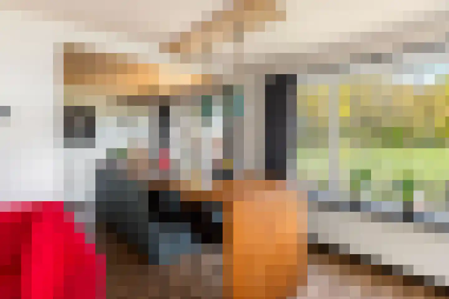 Boerlestraat 7 Wijhe thumbnail 10