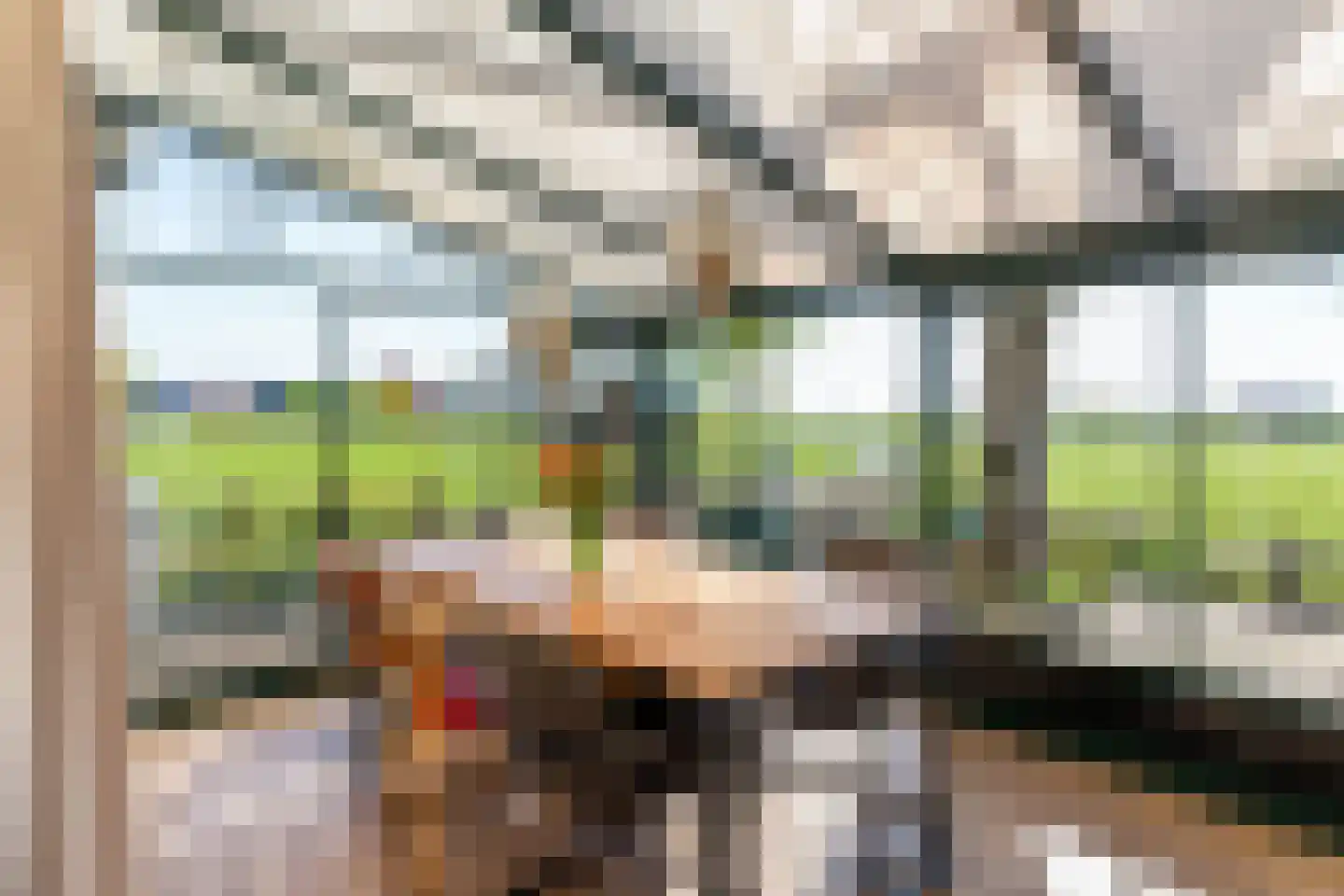 Boerlestraat 7 Wijhe thumbnail 11