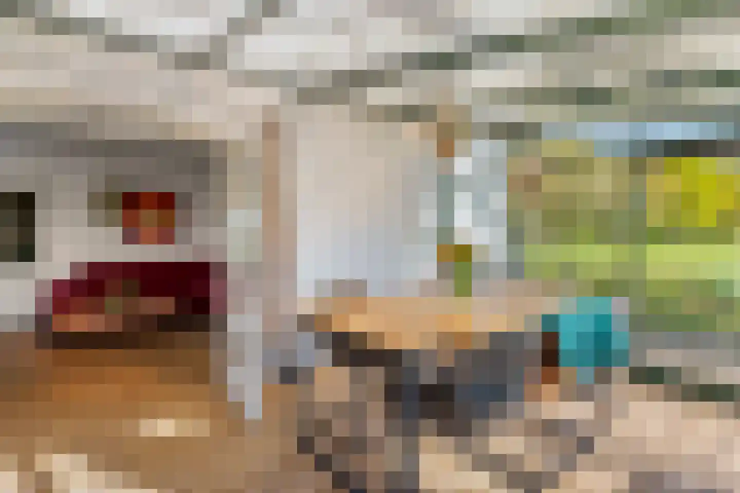 Boerlestraat 7 Wijhe thumbnail 12