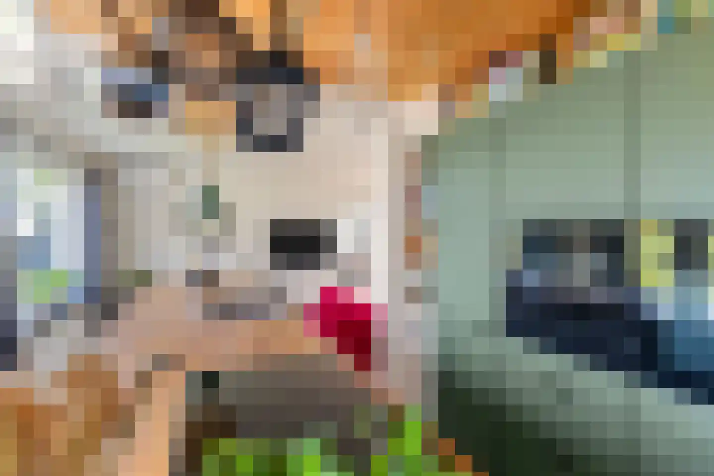 Boerlestraat 7 Wijhe thumbnail 15