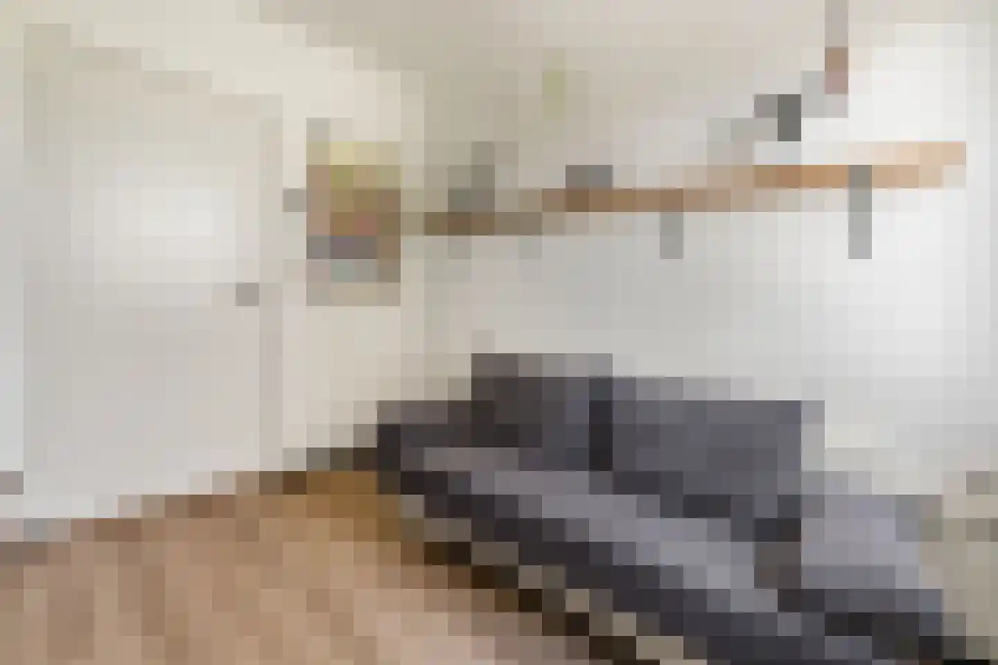 Boerlestraat 7 Wijhe thumbnail 17