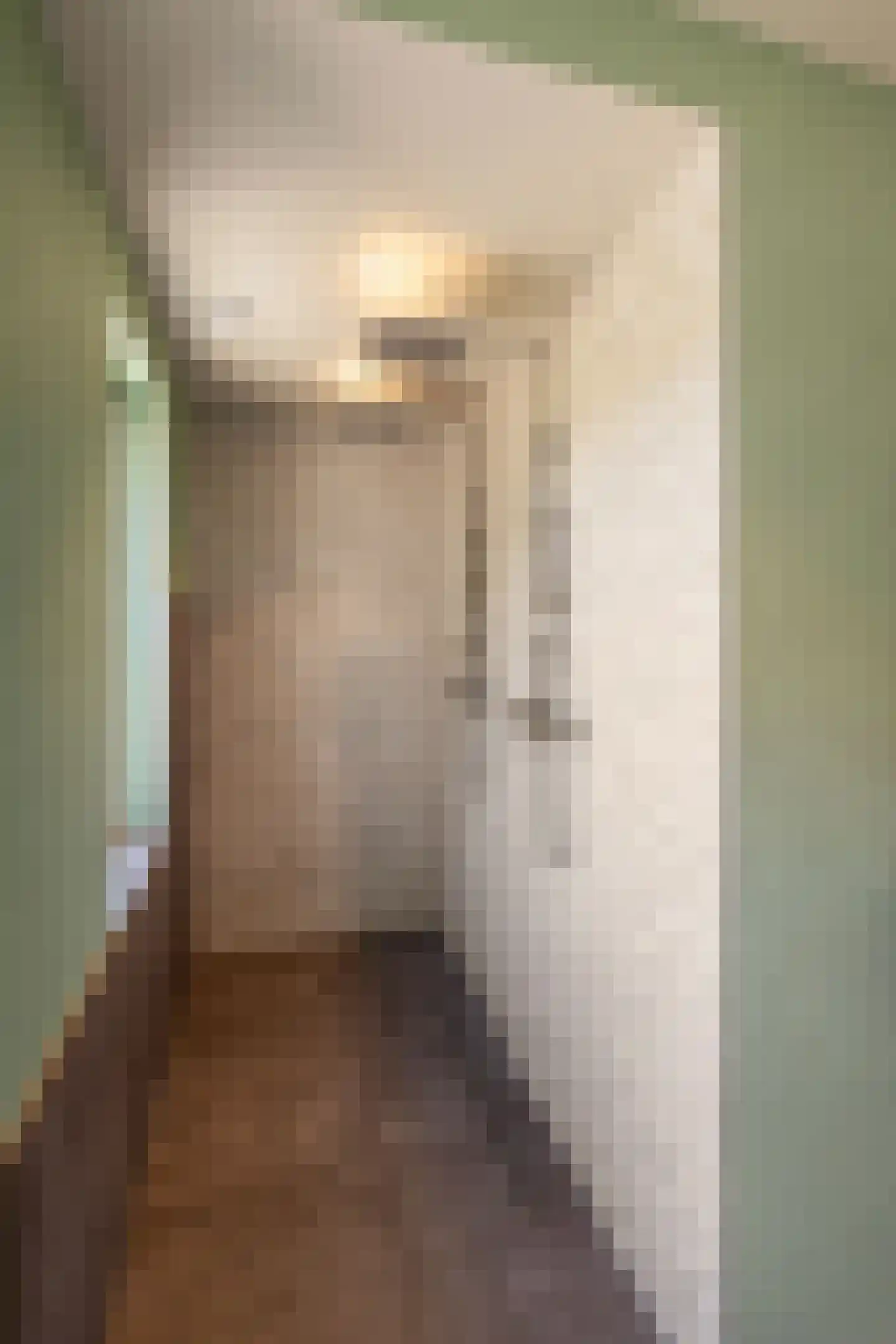 Boerlestraat 7 Wijhe thumbnail 26