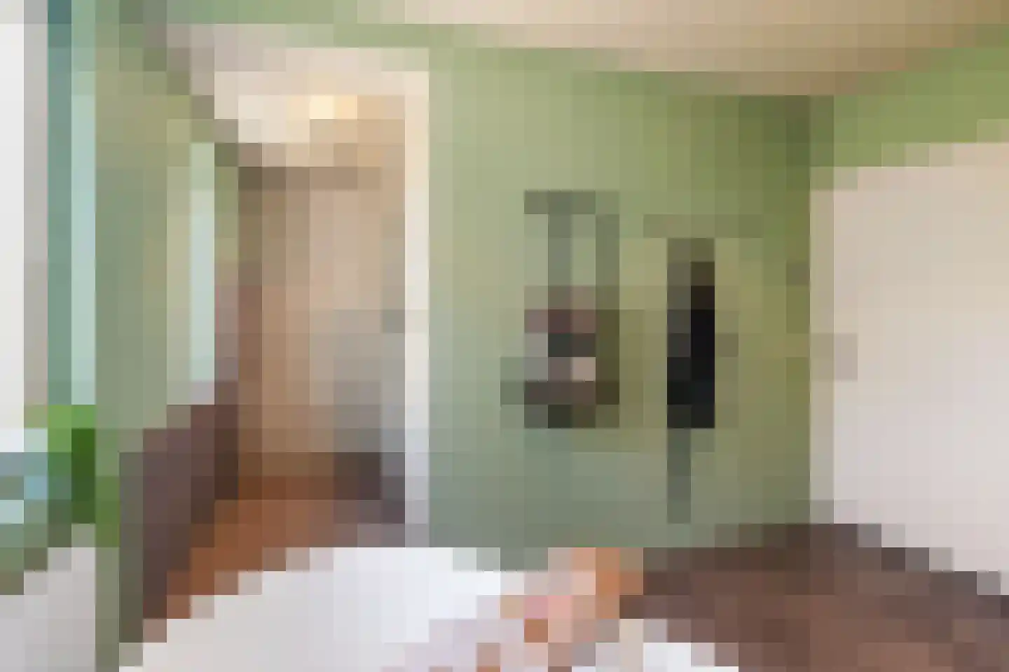 Boerlestraat 7 Wijhe thumbnail 27