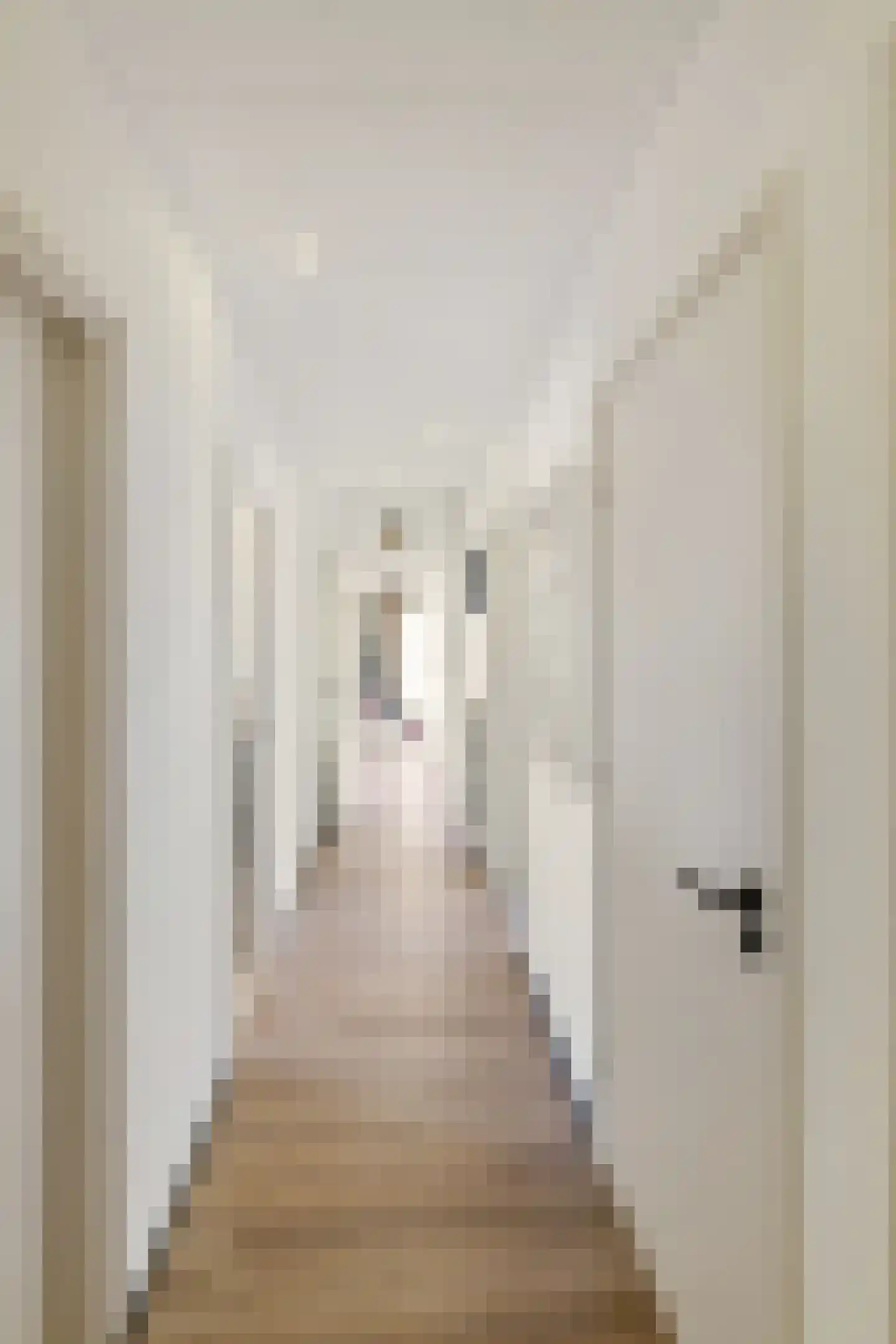 Boerlestraat 7 Wijhe thumbnail 28