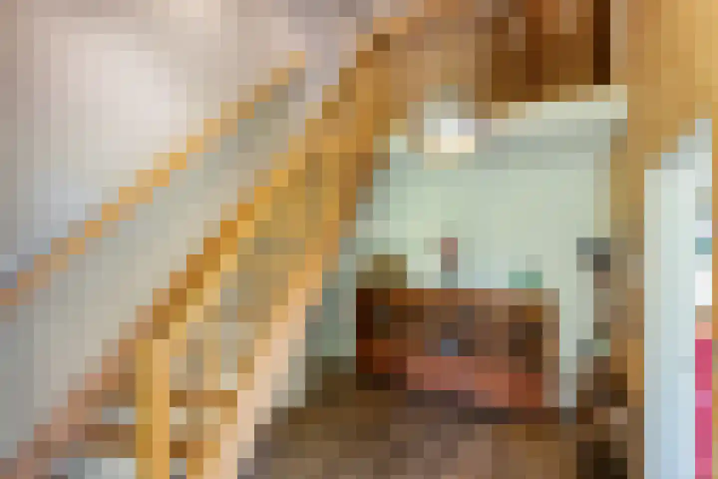 Boerlestraat 7 Wijhe thumbnail 30