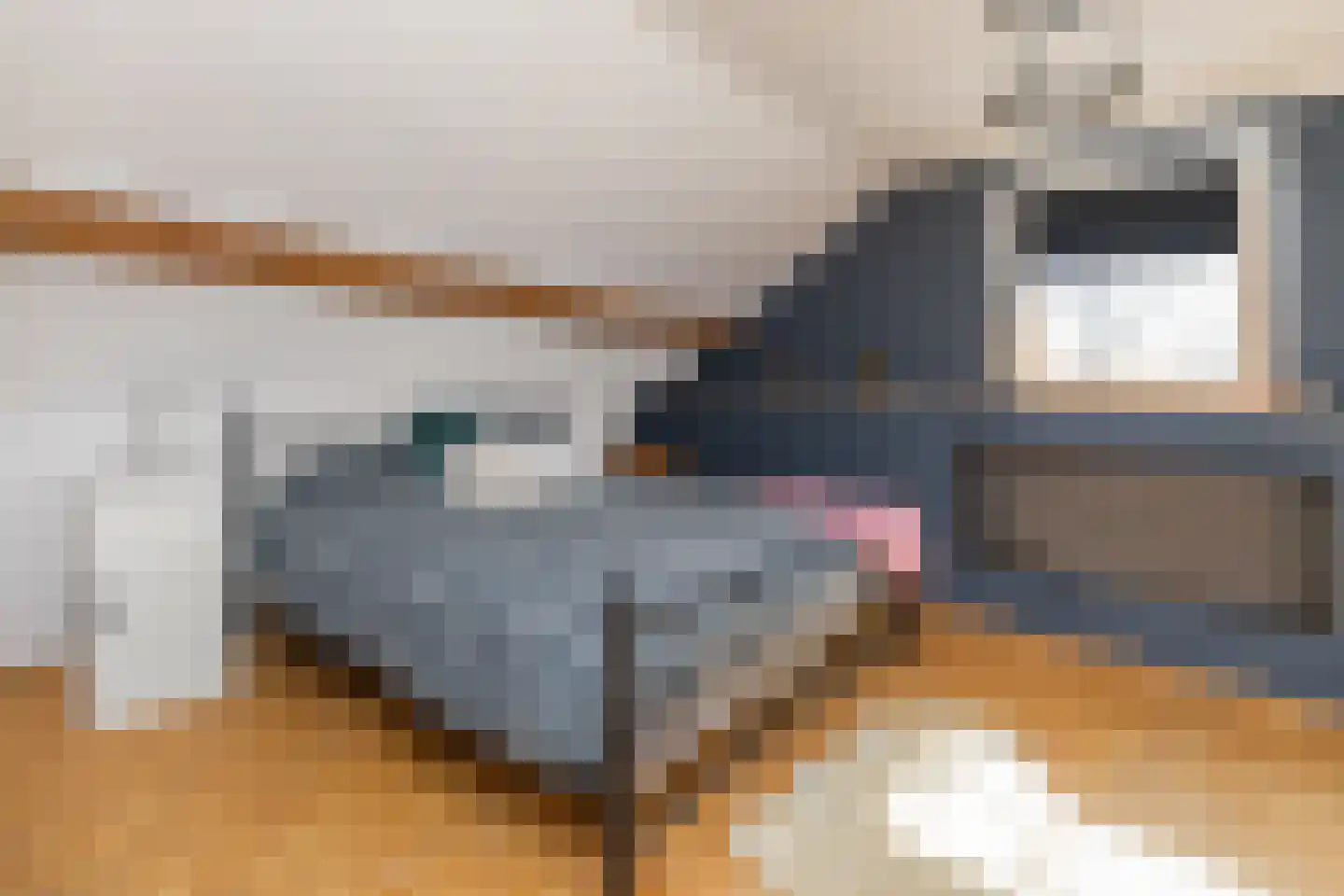 Boerlestraat 7 Wijhe thumbnail 32