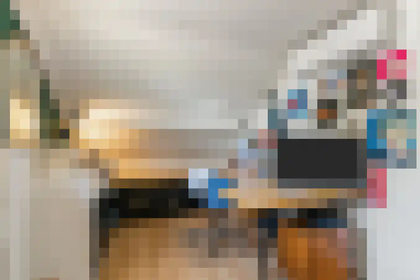 Boerlestraat 7 Wijhe thumbnail 34