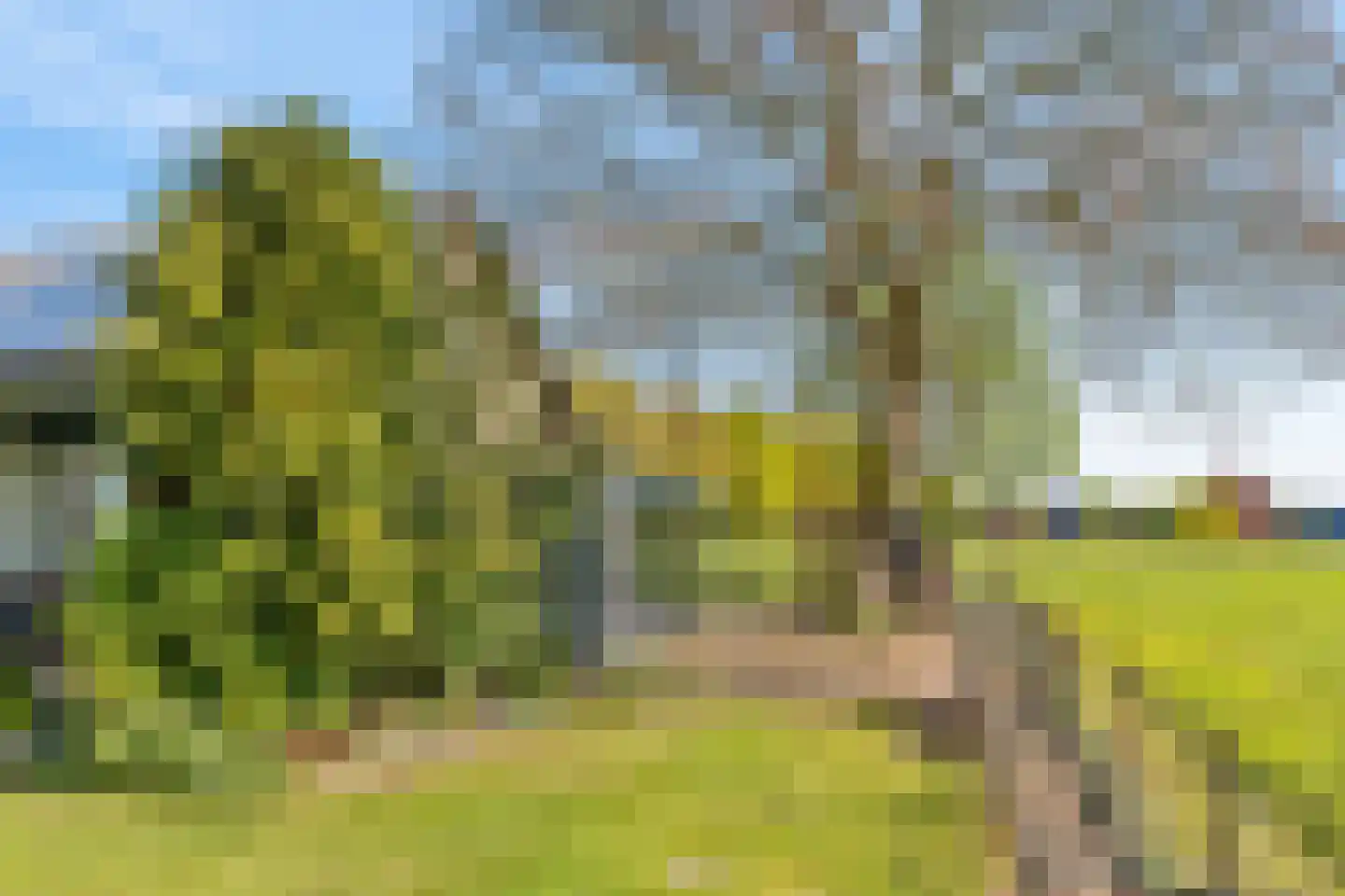 Boerlestraat 7 Wijhe thumbnail 37