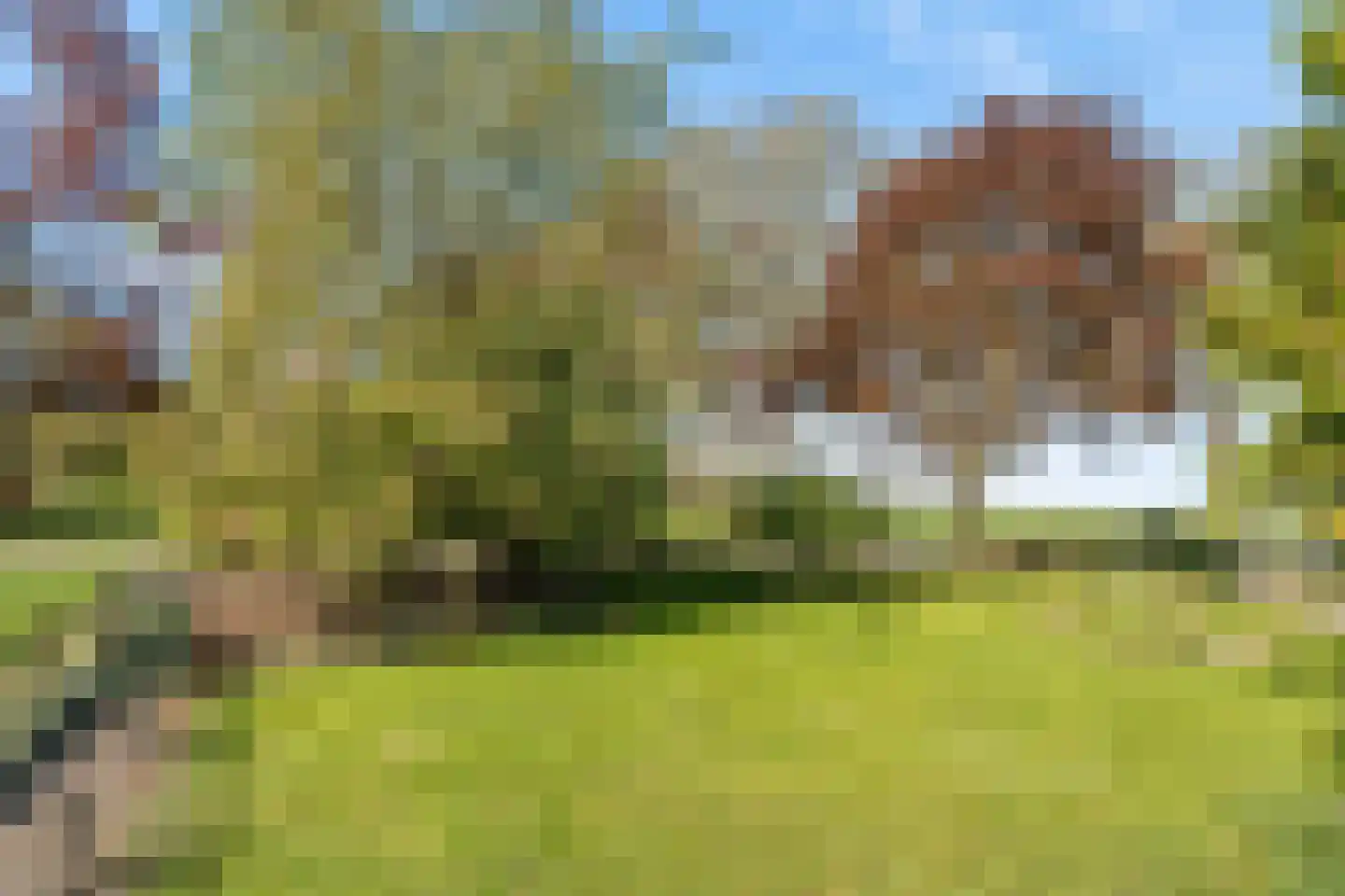Boerlestraat 7 Wijhe thumbnail 38