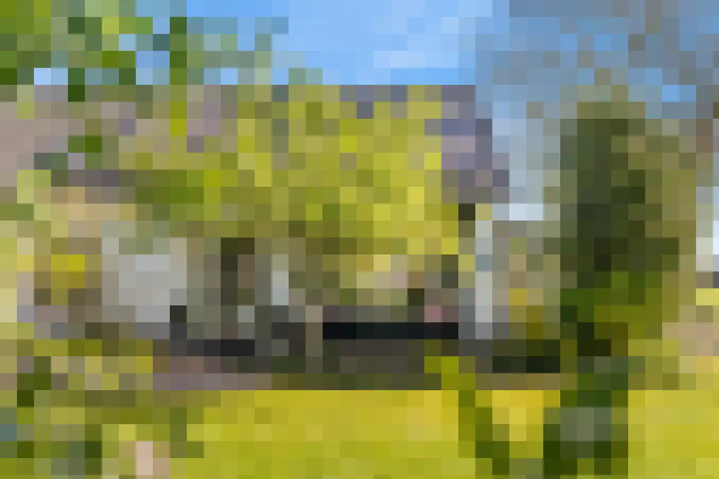 Boerlestraat 7 Wijhe thumbnail 4