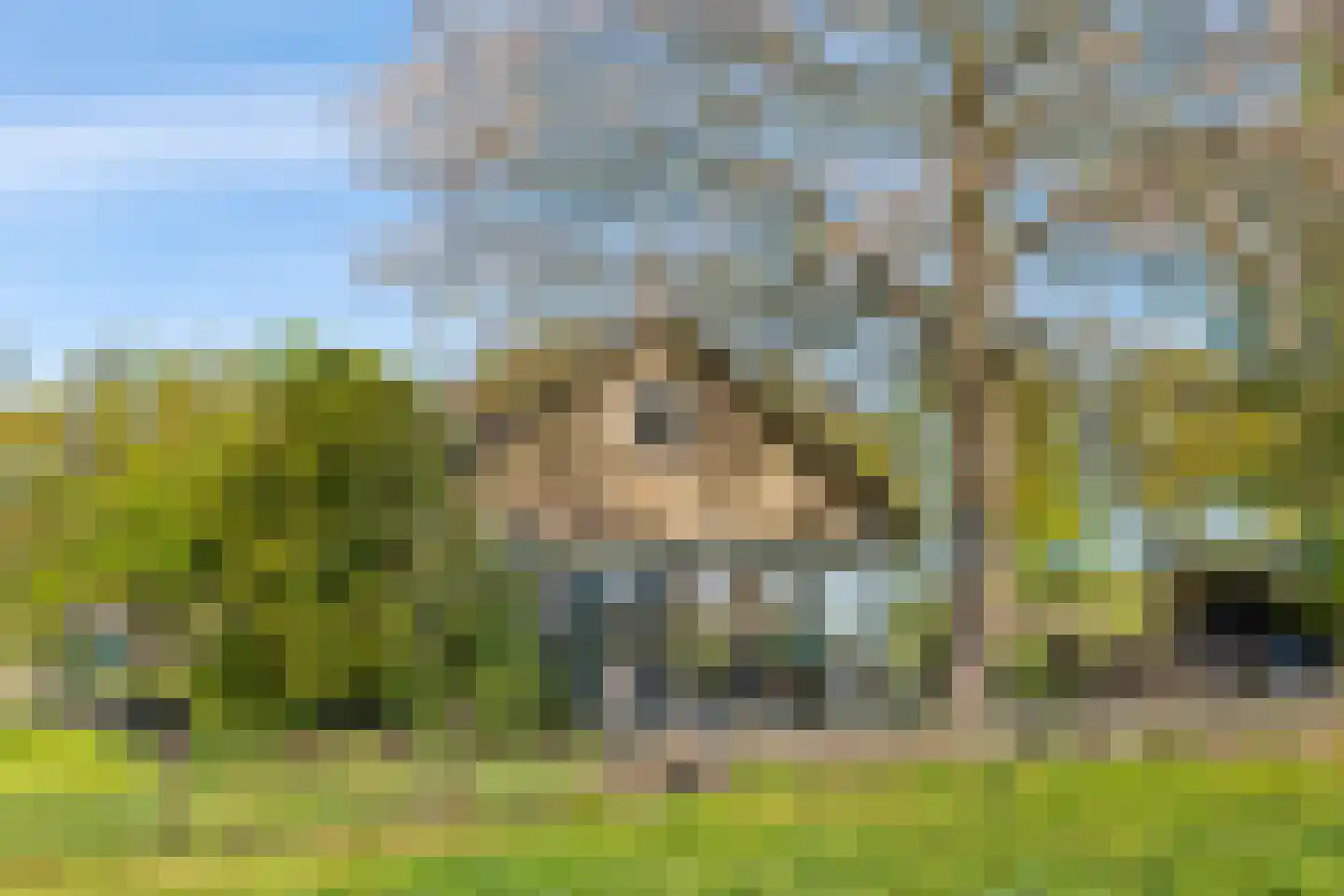Boerlestraat 7 Wijhe thumbnail 40