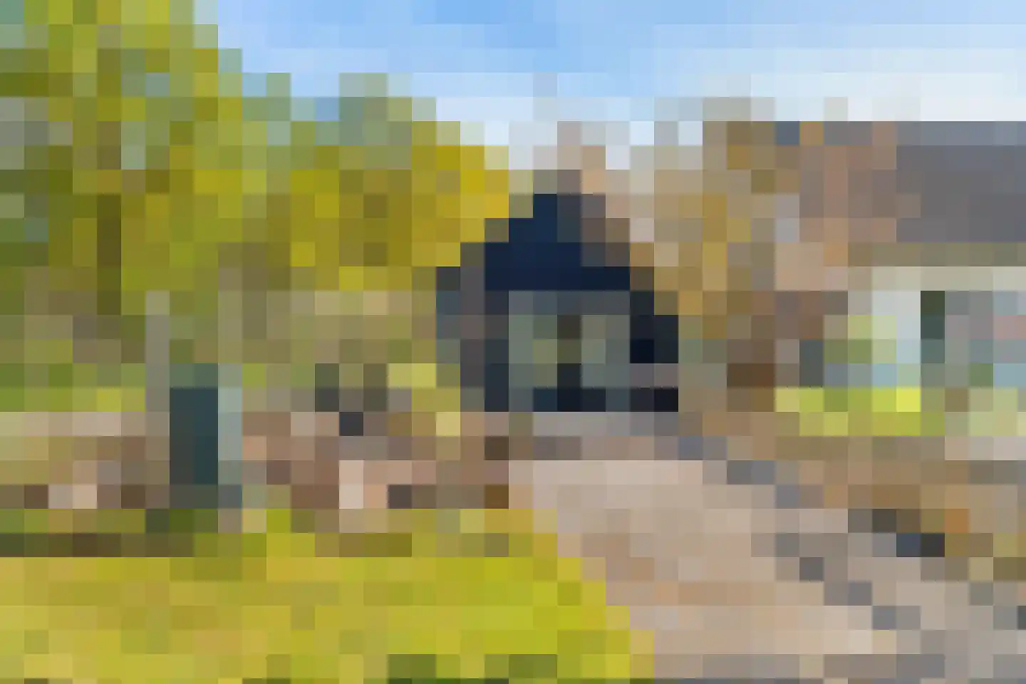 Boerlestraat 7 Wijhe thumbnail 46