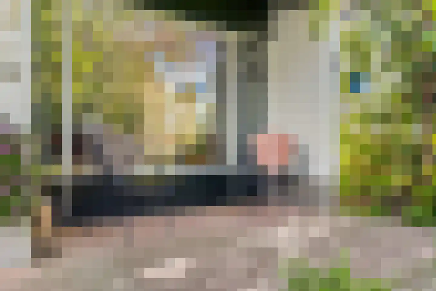 Boerlestraat 7 Wijhe thumbnail 47