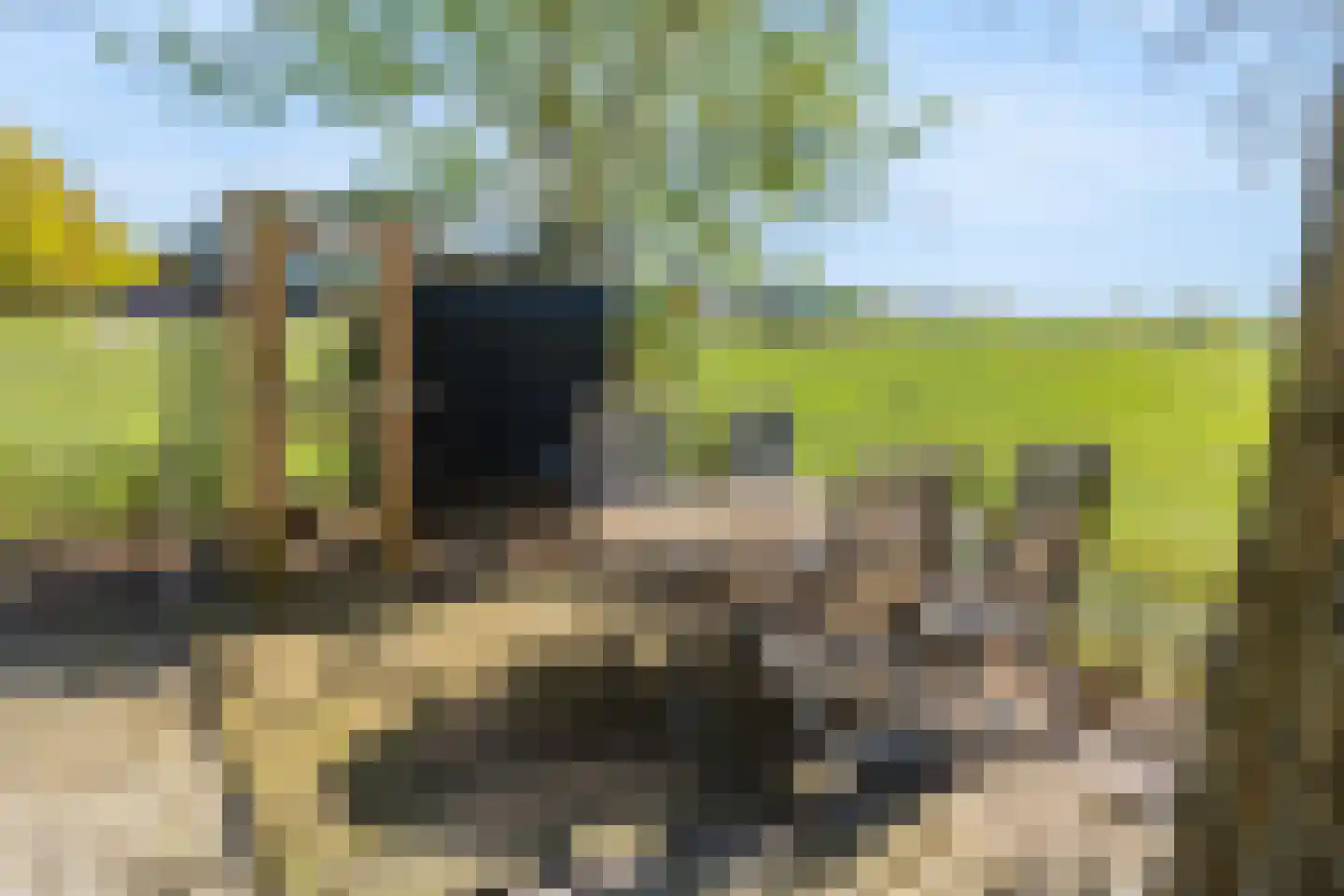 Boerlestraat 7 Wijhe thumbnail 48