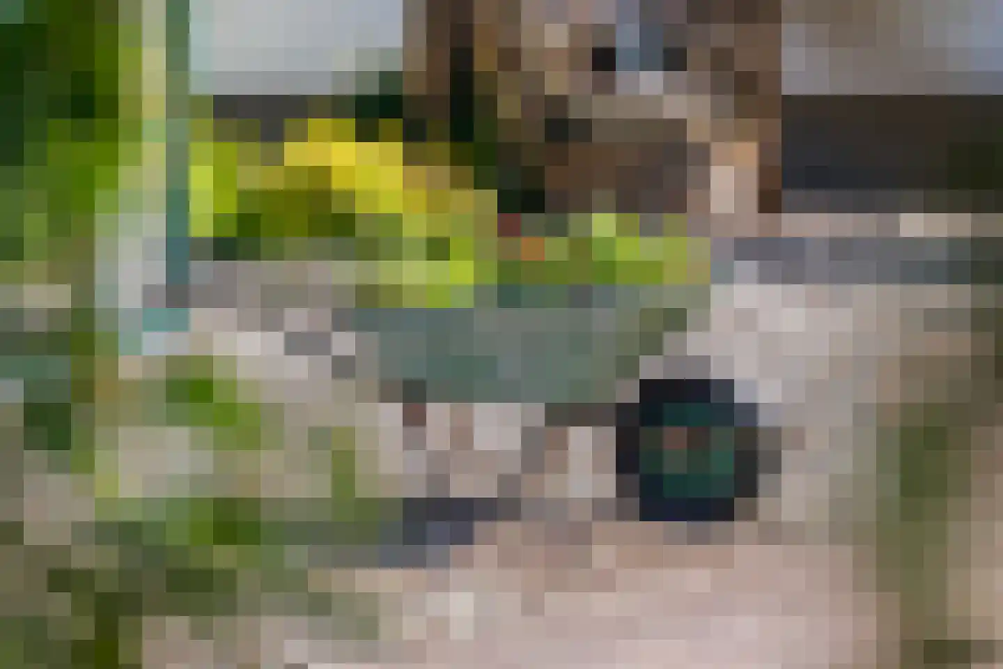 Boerlestraat 7 Wijhe thumbnail 51