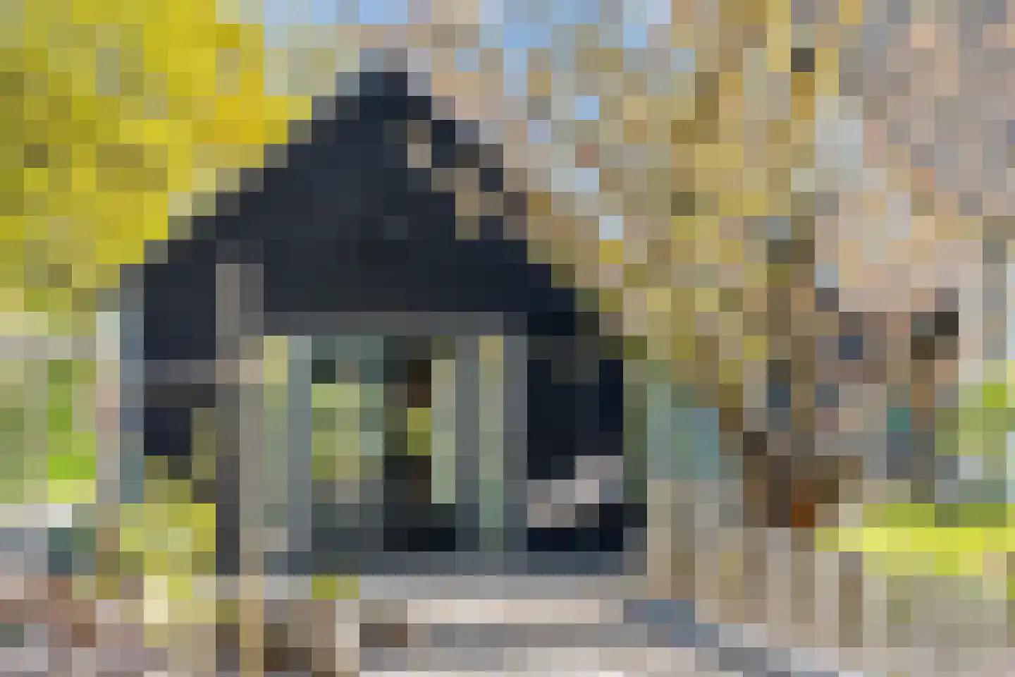 Boerlestraat 7 Wijhe thumbnail 52