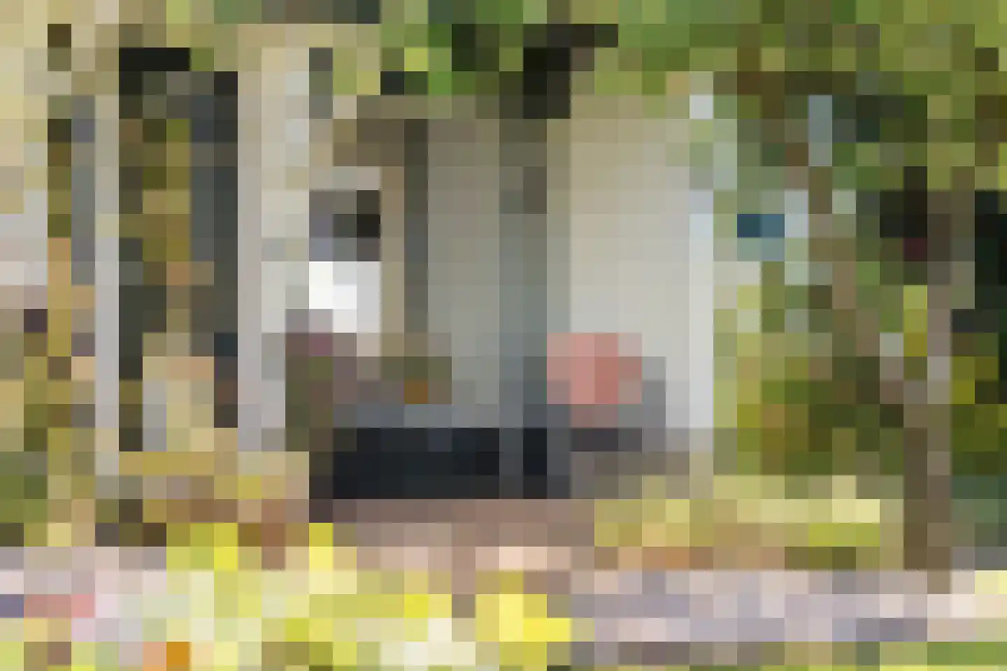 Boerlestraat 7 Wijhe thumbnail 53
