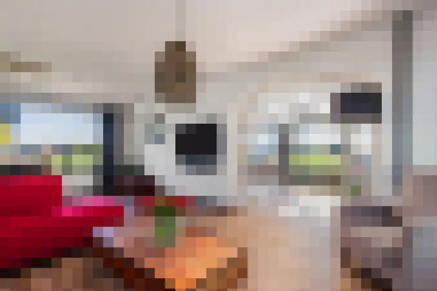 Boerlestraat 7 Wijhe thumbnail 8