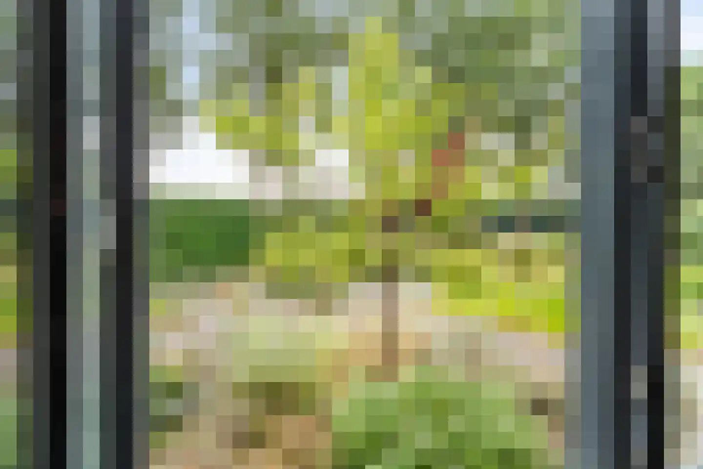 Boermaat 12 Westerbork thumbnail 17