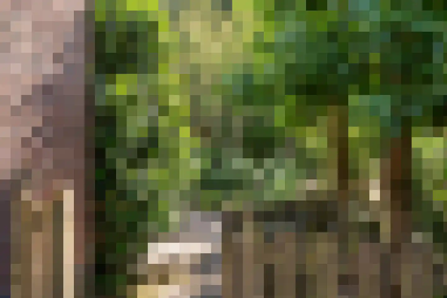 Boermaat 12 Westerbork thumbnail 31