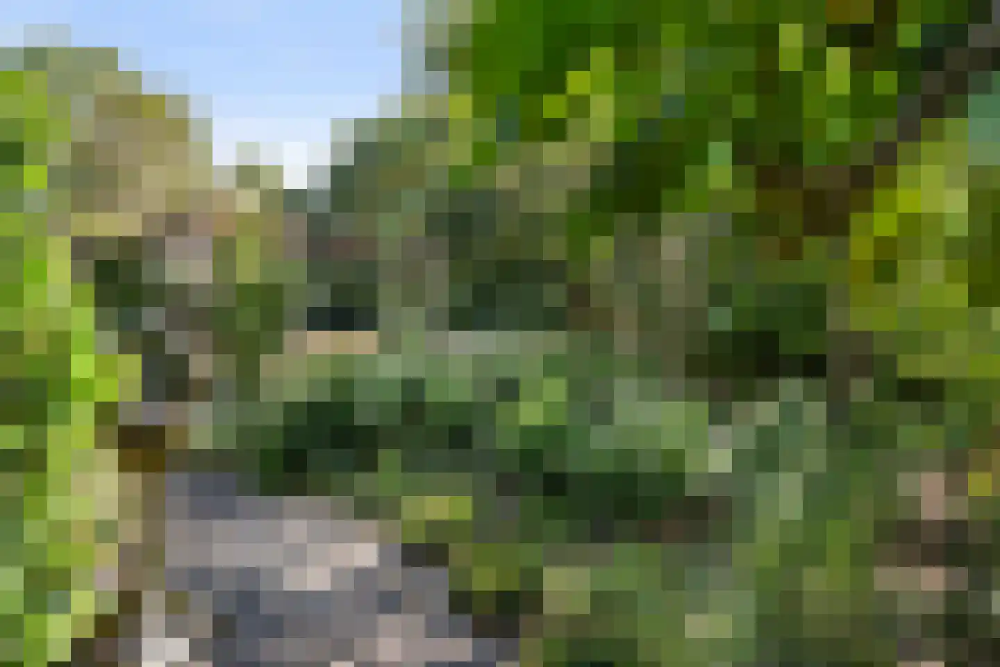 Boermaat 12 Westerbork thumbnail 32