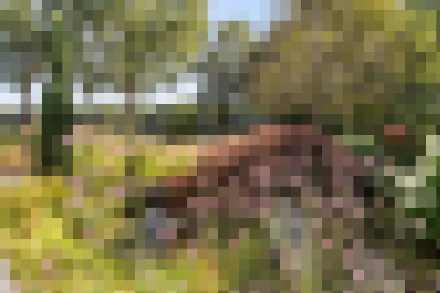 Boermaat 12 Westerbork thumbnail 34