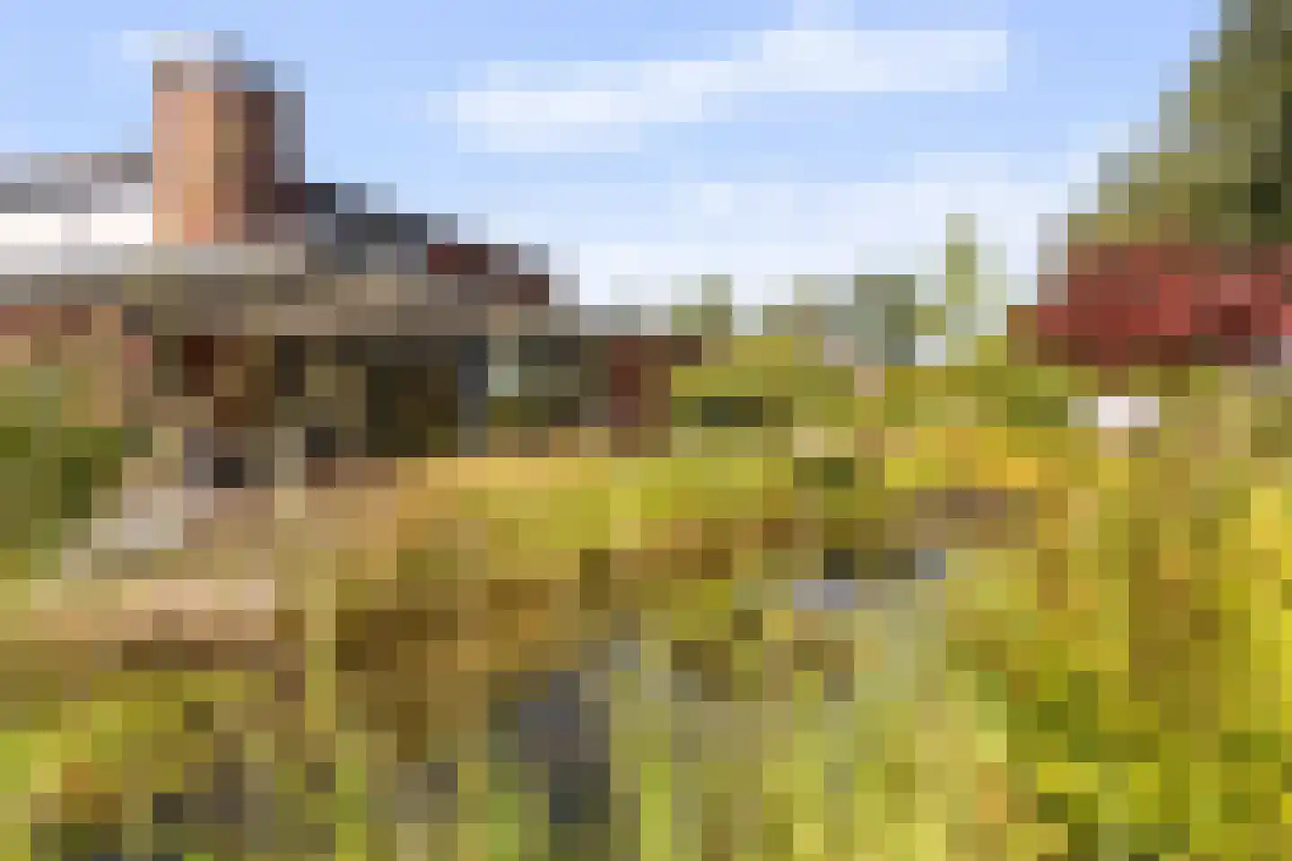 Boermaat 12 Westerbork thumbnail 36